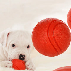 Bite-Resistant Dog Ball Toy