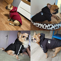 Weatherproof Reflective Dog Coat