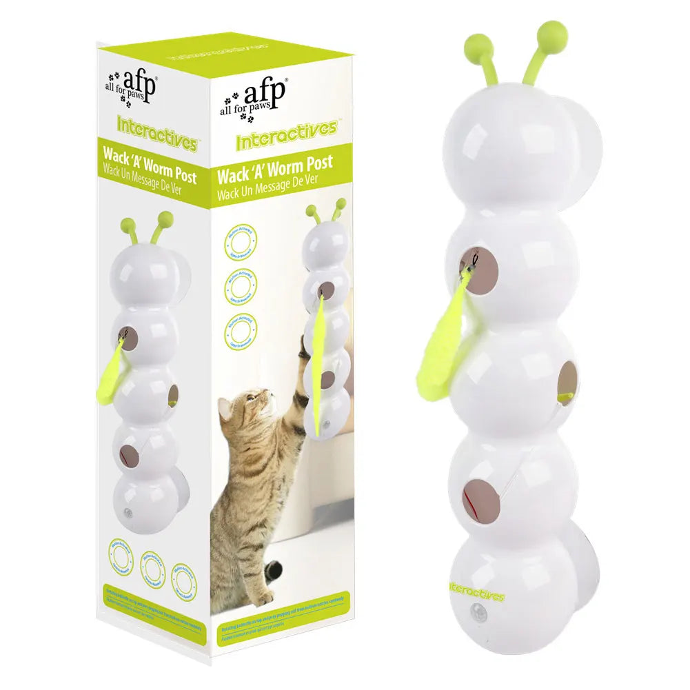 Interactive Cat Worm Toy
