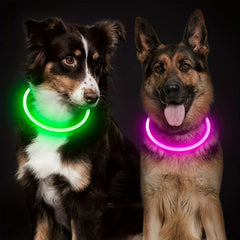 USB Rechargeable LED Collar