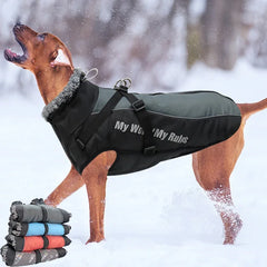 Waterproof Harness-Coat Combo