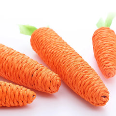 Cat Carrot Chew Toy