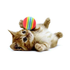 Colorful Cat Play Balls