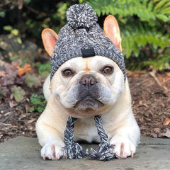 Bobble Knit Puppy Hat