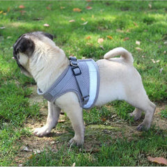 Pet Harness with Traction Rope