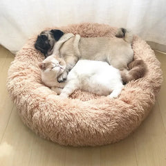 Cozy Cuddler Dog Bed