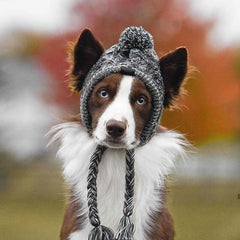 Bobble Knit Puppy Hat