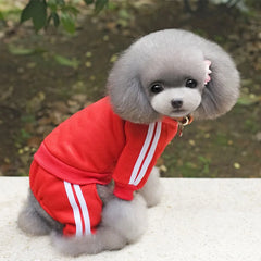 Spring Warm Pet Jumpsuit