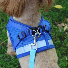 Pet Harness with Traction Rope