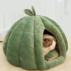 Enclosed Pumpkin Cat Bed