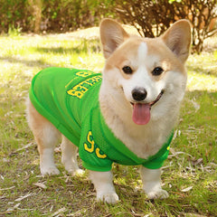 Cool Comfort Pet Vest