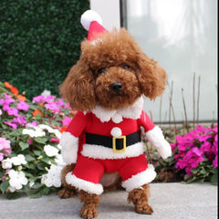Santa Claus Pet Costume