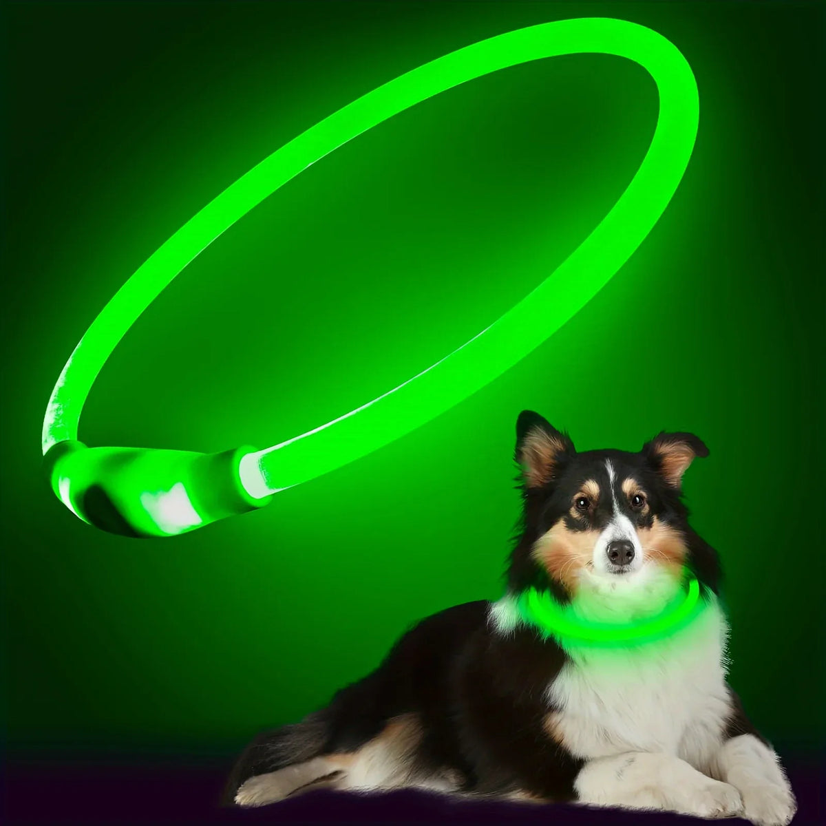 USB Rechargeable LED Collar