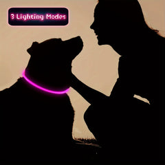 USB Rechargeable LED Collar