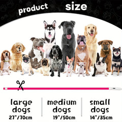 USB Rechargeable LED Collar