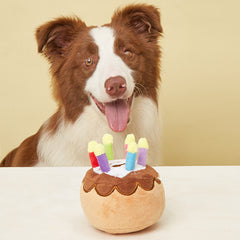 Dog Birthday Cake Plush Toy