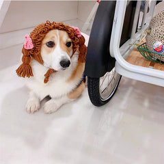 New Pet Hat Cute Style Braid Headgear Spring And Autumn