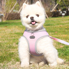 Pet Clothes Hand Holding Rope Out Dog Chest Strap